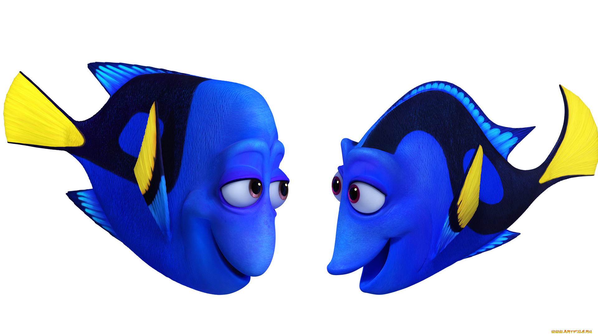 , finding dory, 